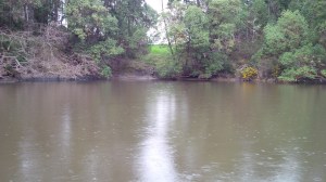 Far up the fijord that's part of Victoria harbour.