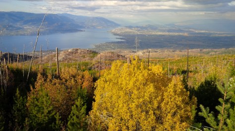The city of Kelowna is in the distance.