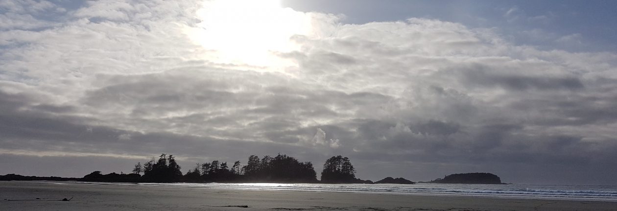 In the Net! – Pictures and Stories of Life